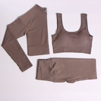 Seamless Fitness 3 Piece Set