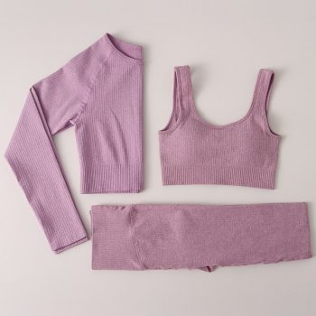 Seamless Fitness 3 Piece Set