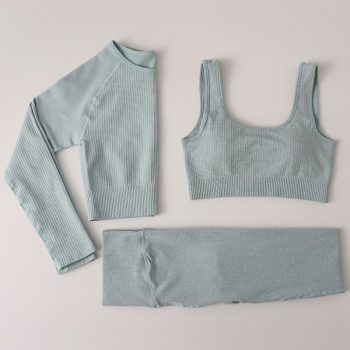 Seamless Fitness 3 Piece Set