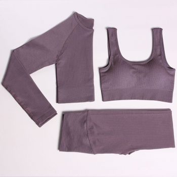 Seamless Fitness 3 Piece Set