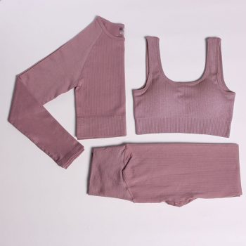 Seamless Fitness 3 Piece Set